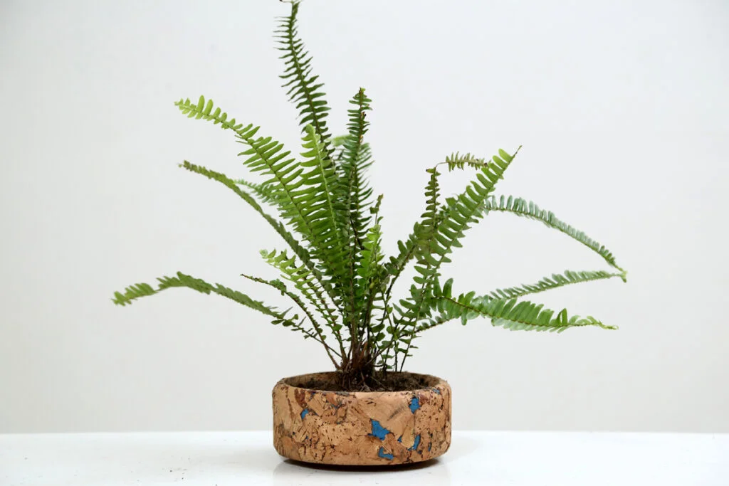 Cork Round Planter