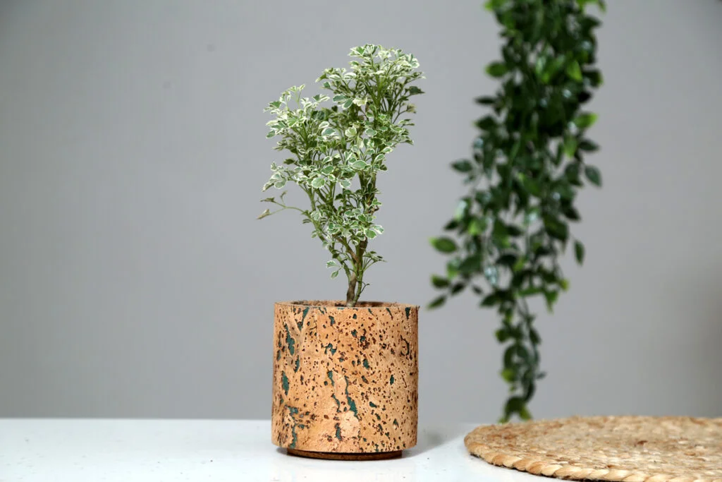 Aqua Cork Planter