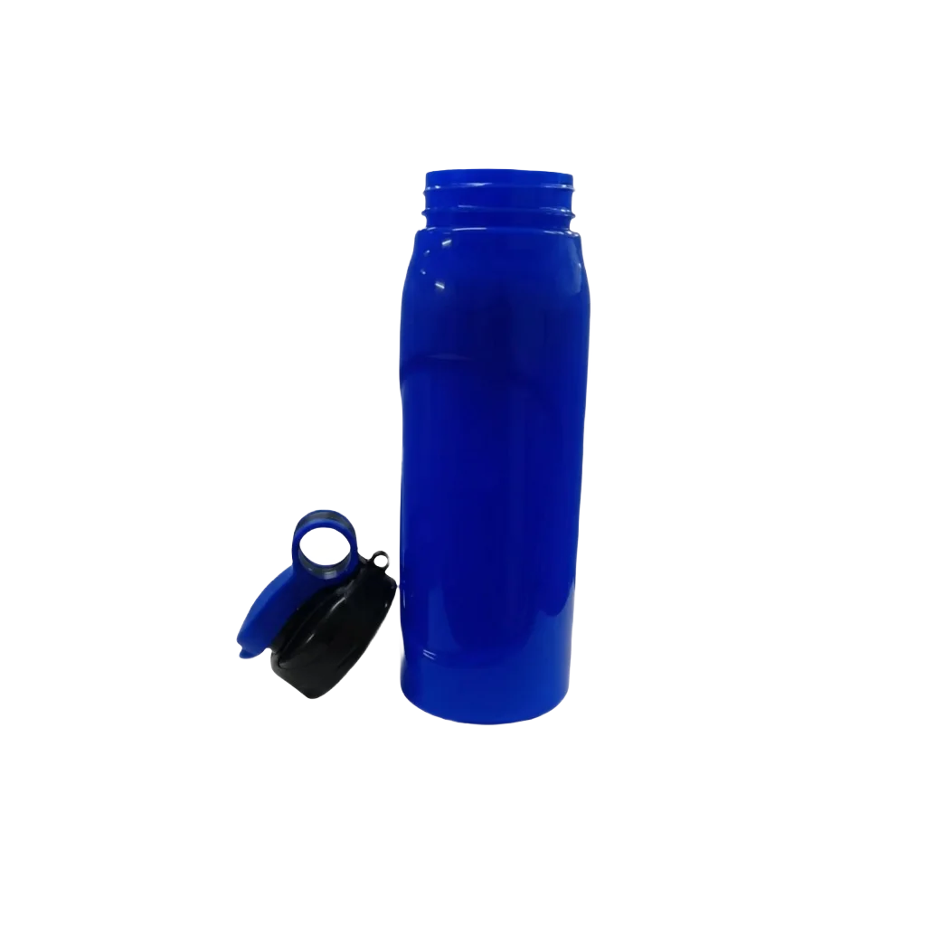 Fruit Infuser Sipper Bottle
